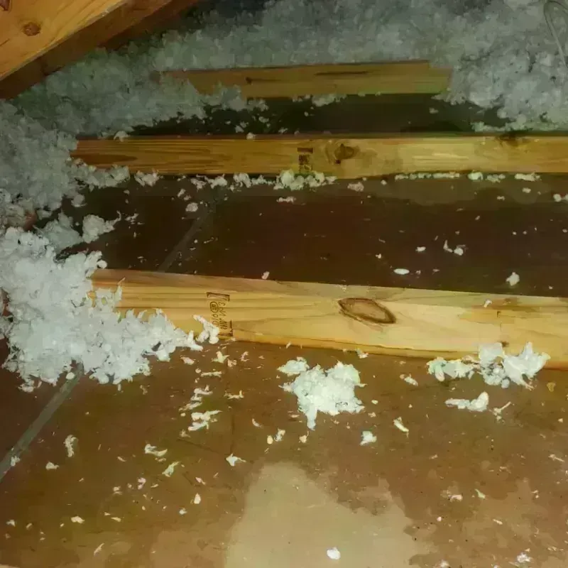 Attic Water Damage in Mead, CO